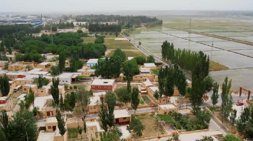 QQ截图20220705172324