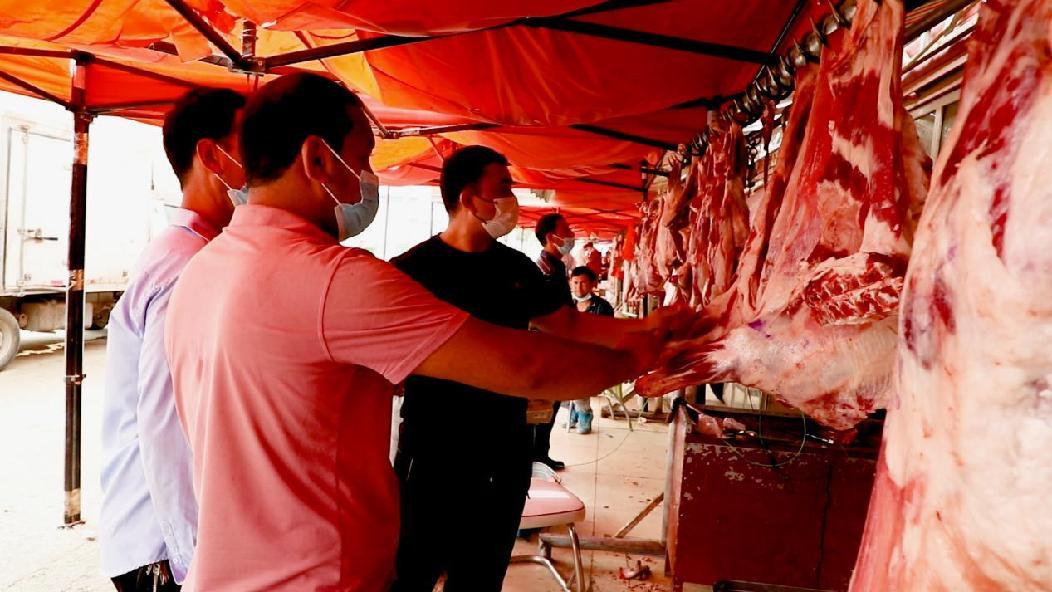 CN0I2833.00_11_05_55.Still005