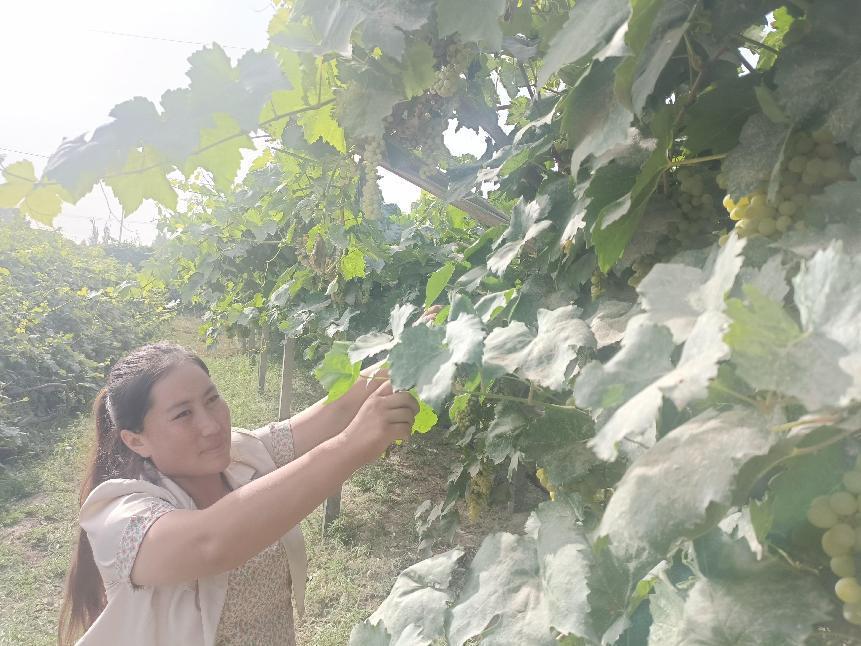 微信图片_20220804205429