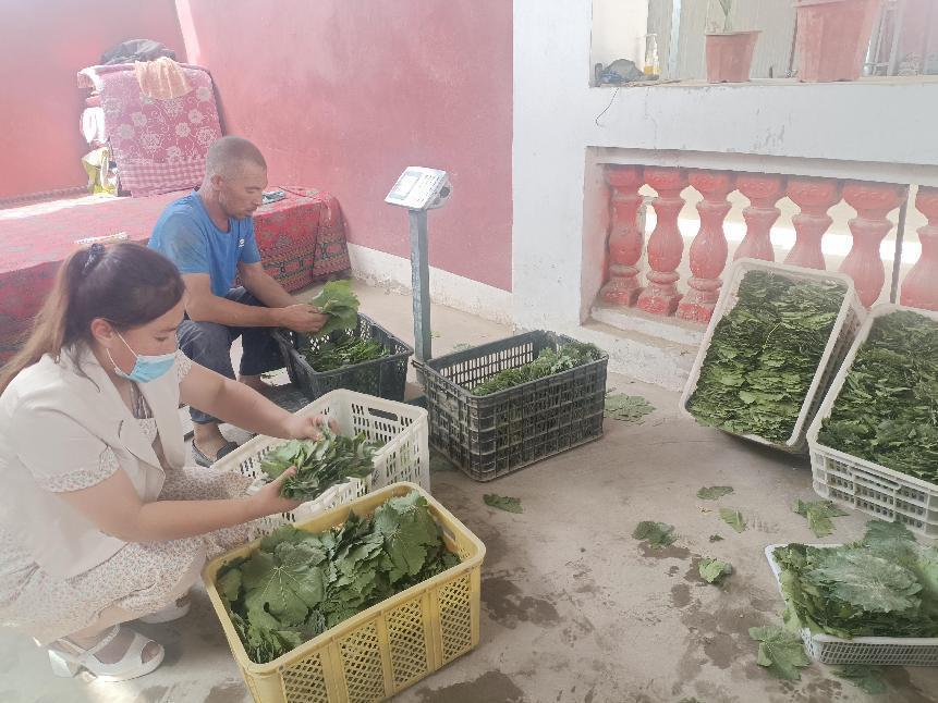 微信图片_20220804172843