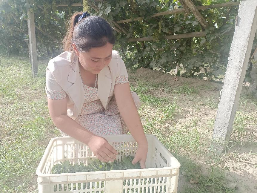 微信图片_20220804205439