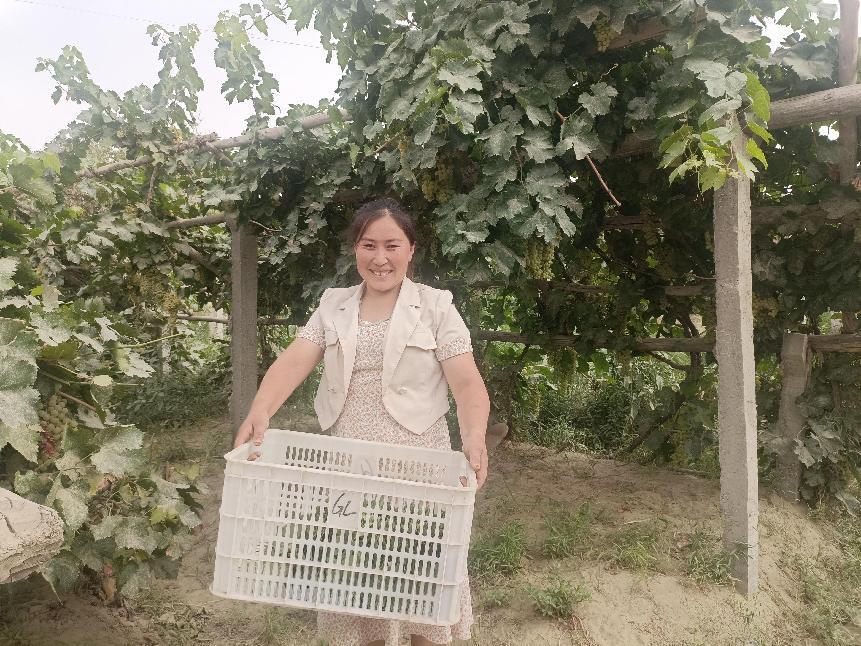 微信图片_20220804172818