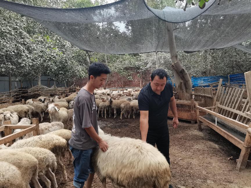 微信图片_20220808122750