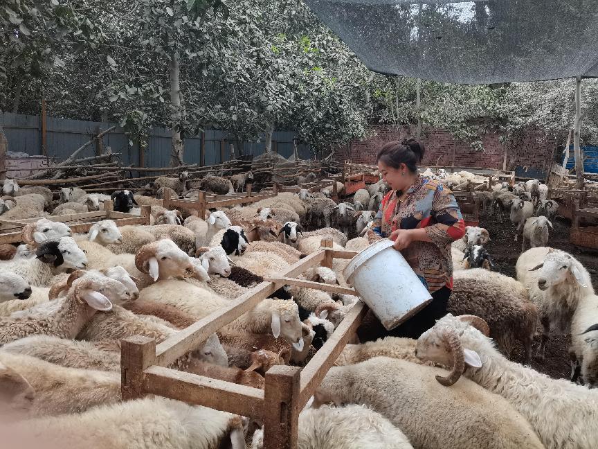 微信图片_20220808122757