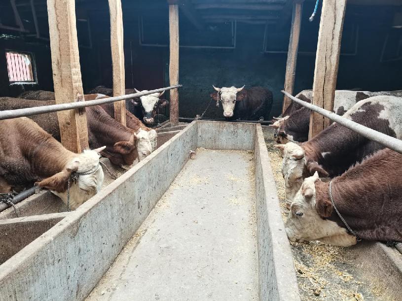 微信图片_20220808122811