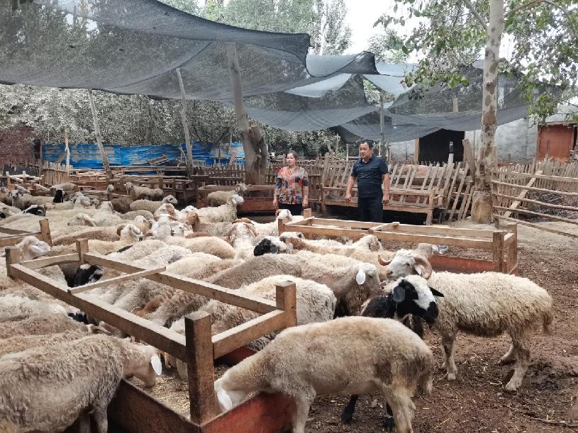 微信图片_20220808122805