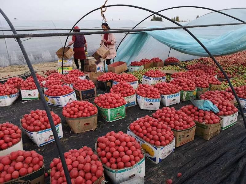 微信图片_20220806161512