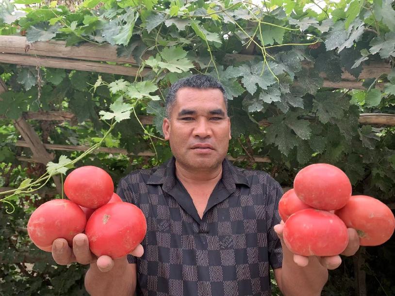 微信图片_20220806161503