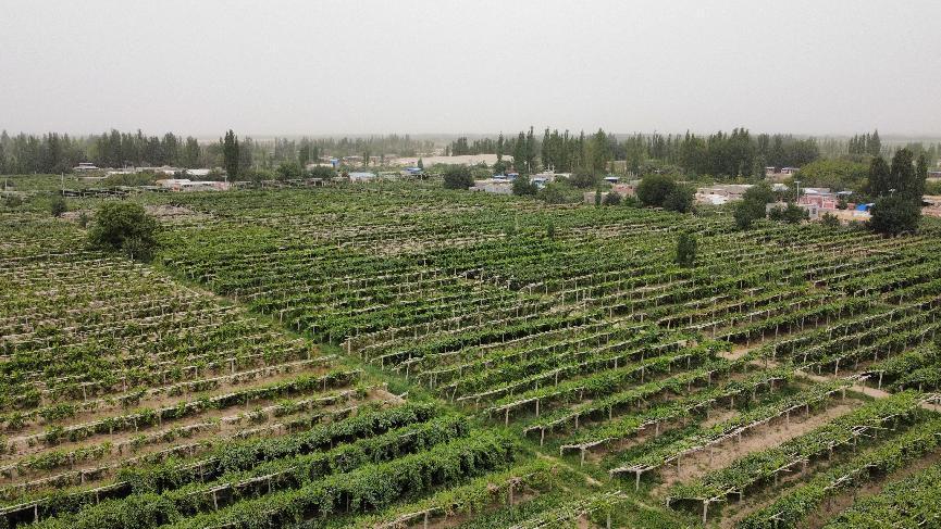 微信图片_202208131248191