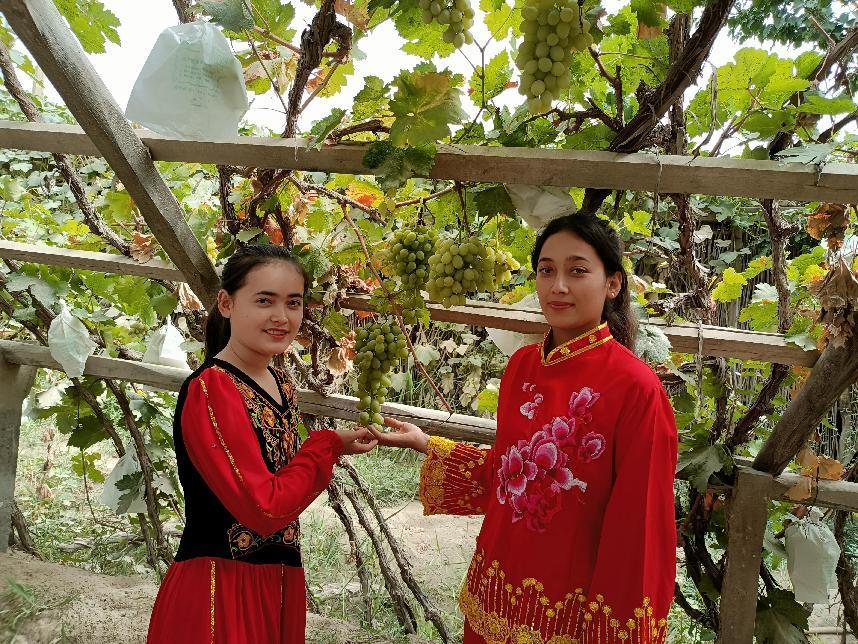 微信图片_202208131248004