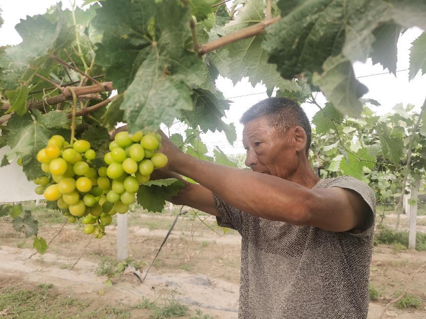 微信图片_202208131248005