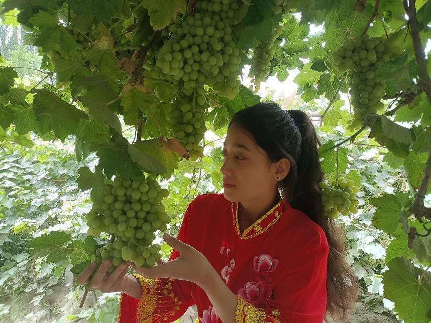 微信图片_20220813124800