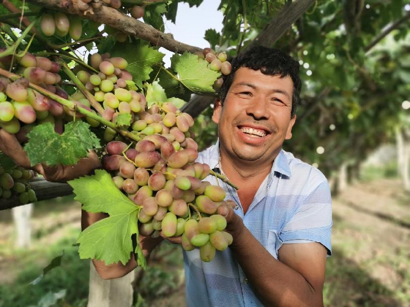 c5c0c52be5bdeef8398d0db04f4d5ea