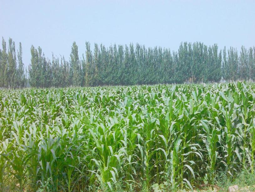 微信图片_20220809115328