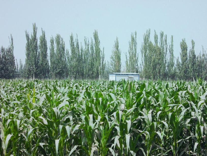 微信图片_20220809115334