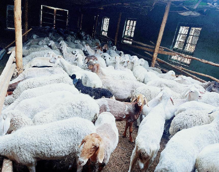 微信图片_20220817185458