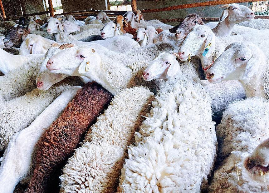 微信图片_20220817185529