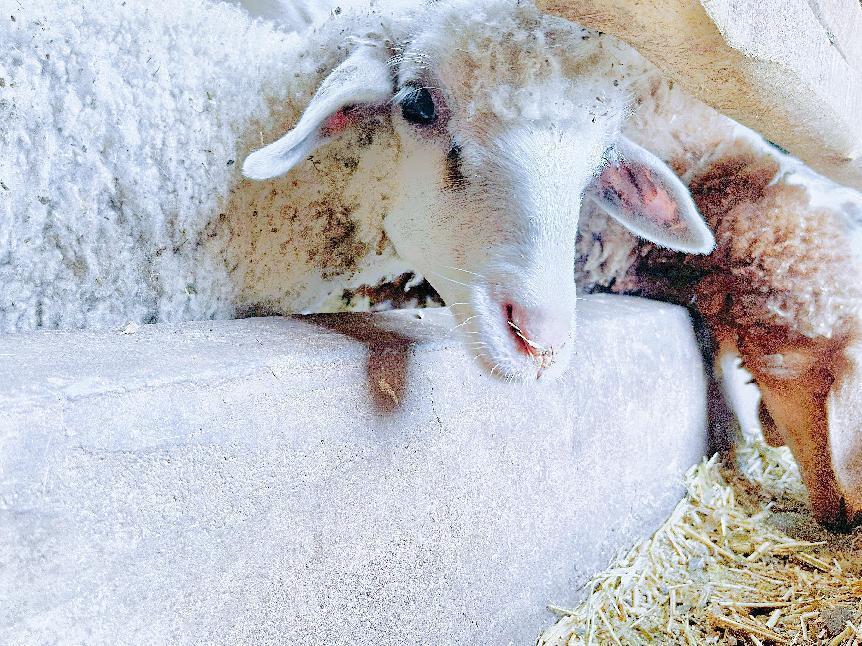 微信图片_20220817185537