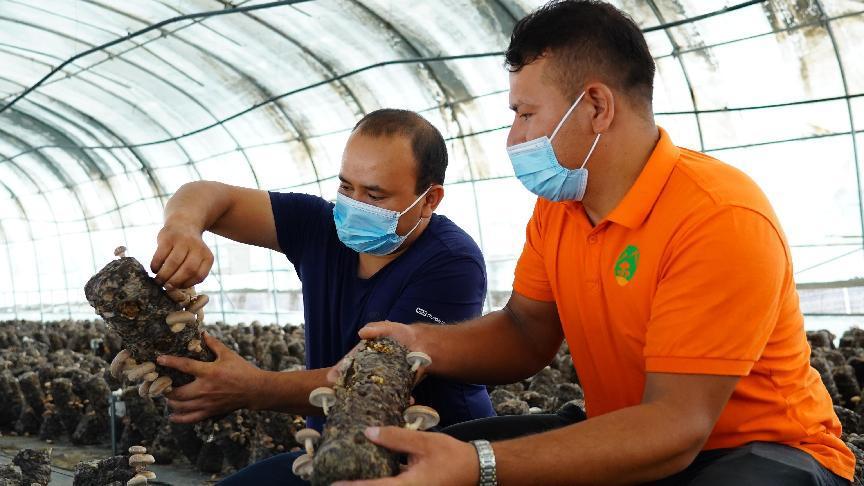 微信图片_20220821183324