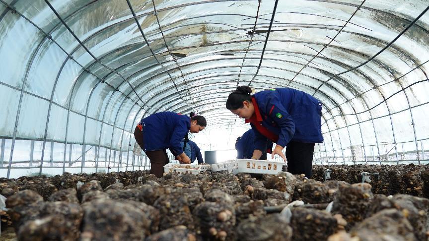 微信图片_20220821183344