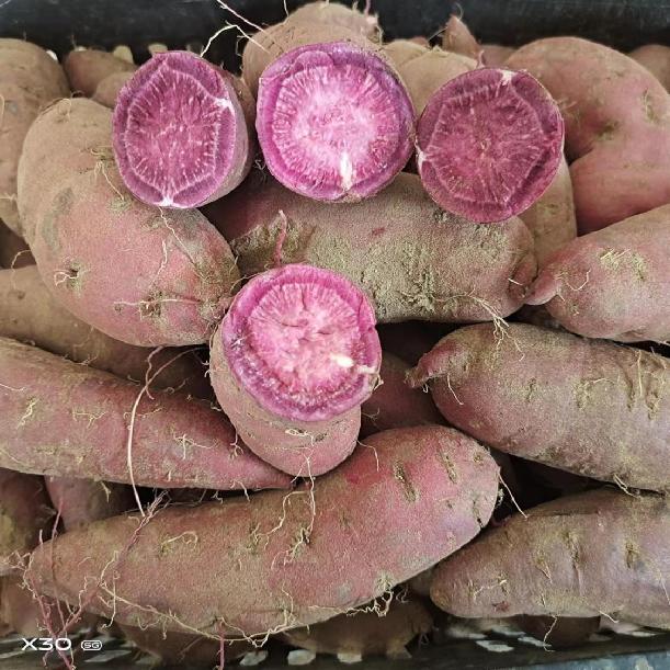 173e7bd5585a7ade11b1c6bcce4a6b8