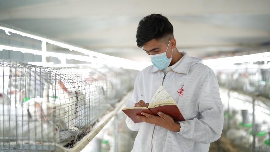 DJI_0696.00_34_07_04.Still005