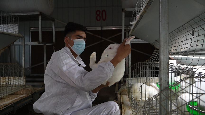 DJI_0696.00_26_45_11.Still009