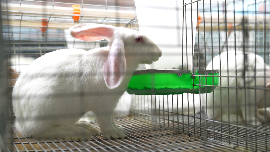 DJI_0696.00_32_35_17.Still007