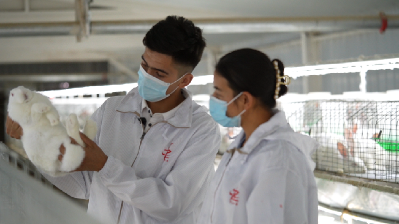 DJI_0696.00_29_19_19.Still002