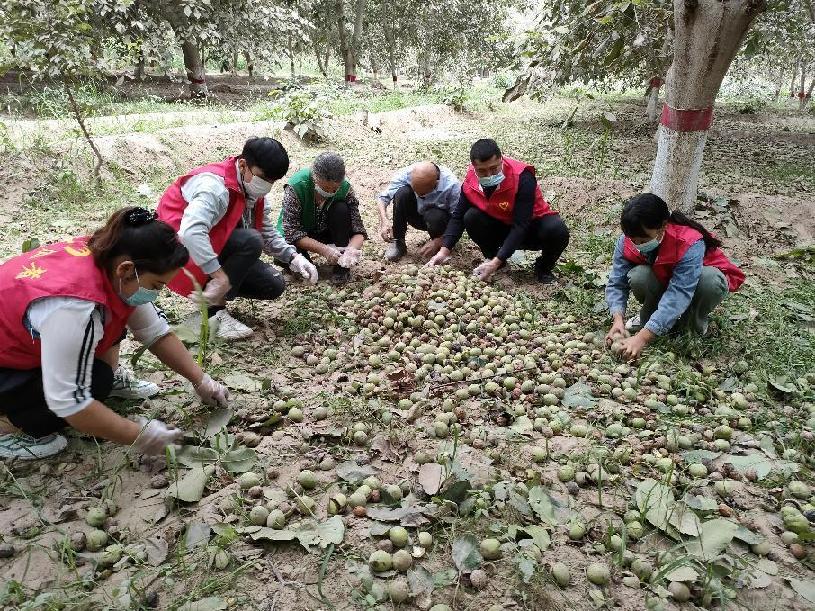 微信图片_20220830114741