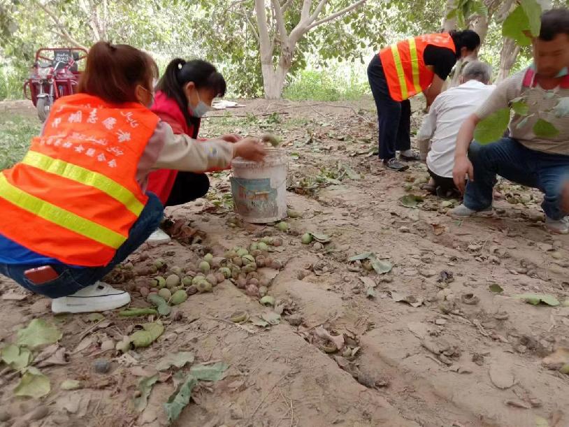 微信图片_20220901155037