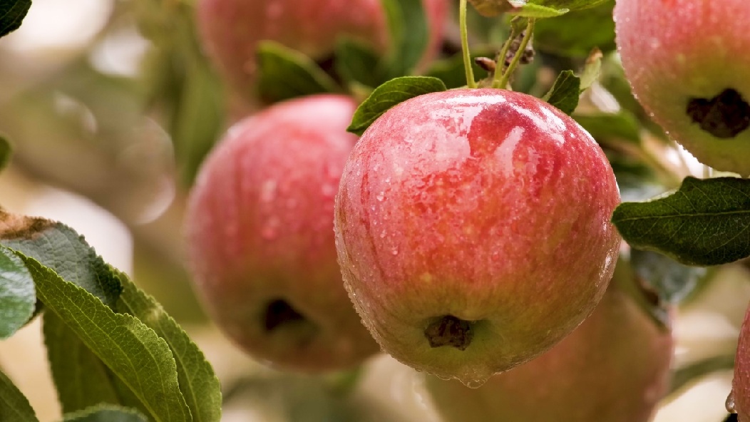 R037C0131_20220823180533_0001.00_05_08_04.Still007