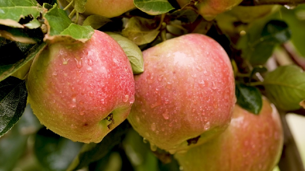 R037C0131_20220823180533_0001.00_04_58_23.Still006