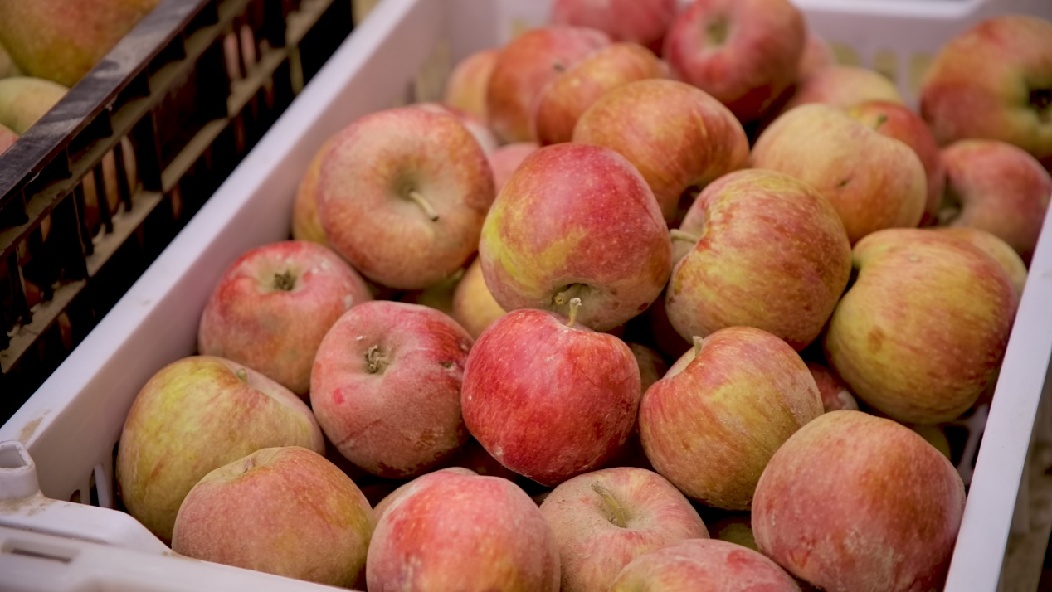 R037C0131_20220823180533_0001.00_01_34_10.Still002