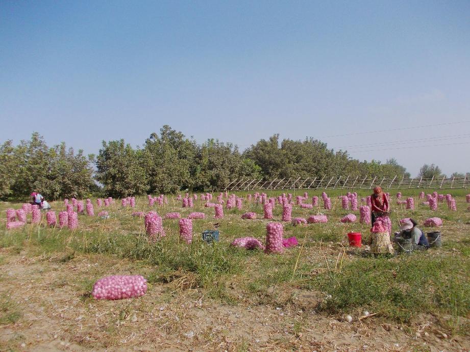 retouch_2022090218291027