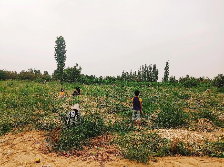 1569809b0115022e1b851b37d38ea36