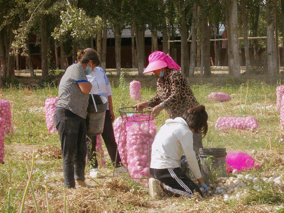 retouch_2022090218281662