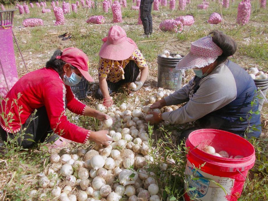 retouch_2022090218212478