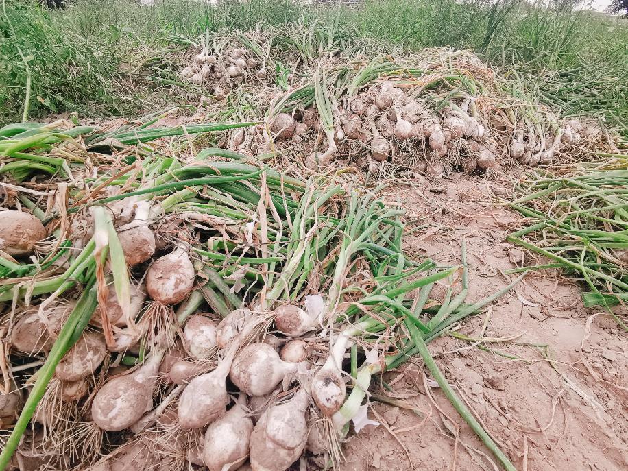 a7f7e3ef5c21fb2e020752878f043ea