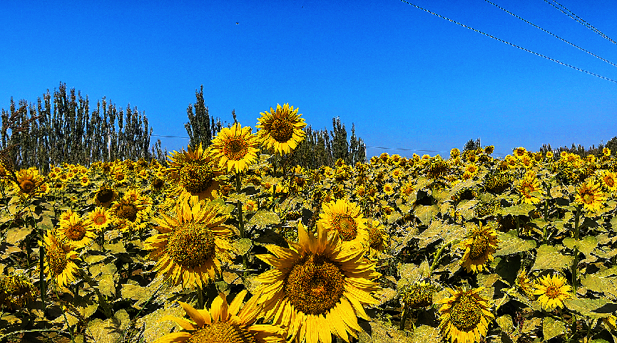 微信图片_20220906110751