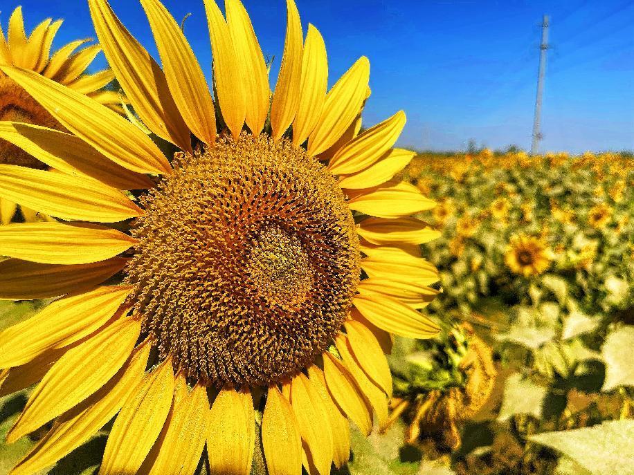 微信图片_20220906110747