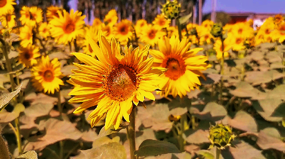 微信图片_20220906110904