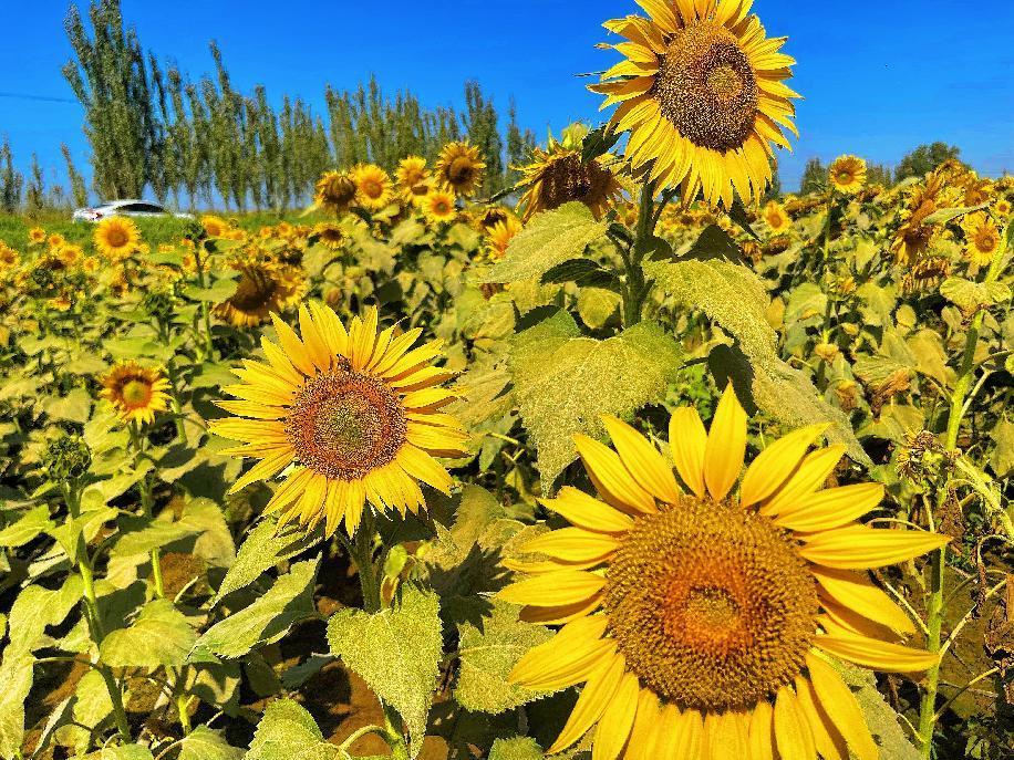 微信图片_20220906110856