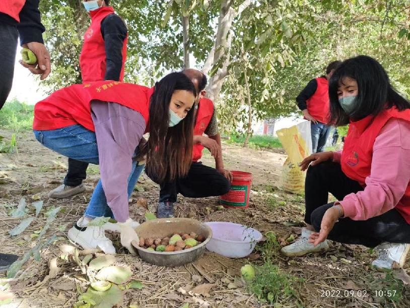 56fdd14dac9d7cab4a4c6f75fd3dc22