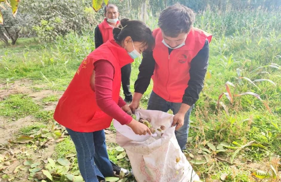 883b5c70c6116c690fc8fd7b10933af