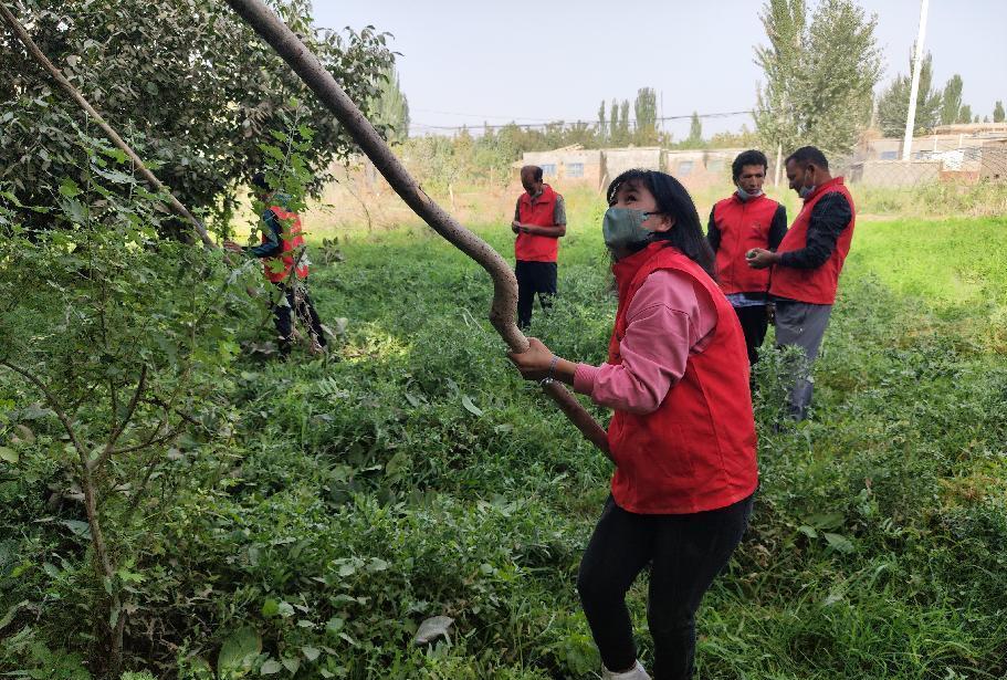 eaccac7c6a1760765d207491ba0b440