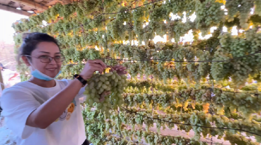 b7aab49ab8efd4c64de76b788ad8efc