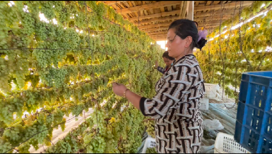 38fd48e52388ed6145cfef9af2fca57