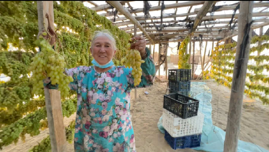 5a2f9f257c9d365a0b1e85b373810cf