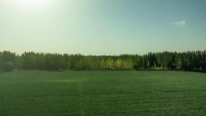 微信图片_20220909153151